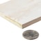 Andova Tiles SAMPLE-Thames 3 in. x 12 in. Ceramic Subway Tile SAM-ANDTHA941 - alternate 7